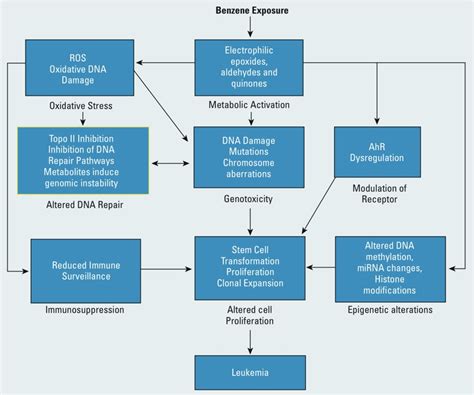 Key Characteristics of Carcinogens as a Basis for .